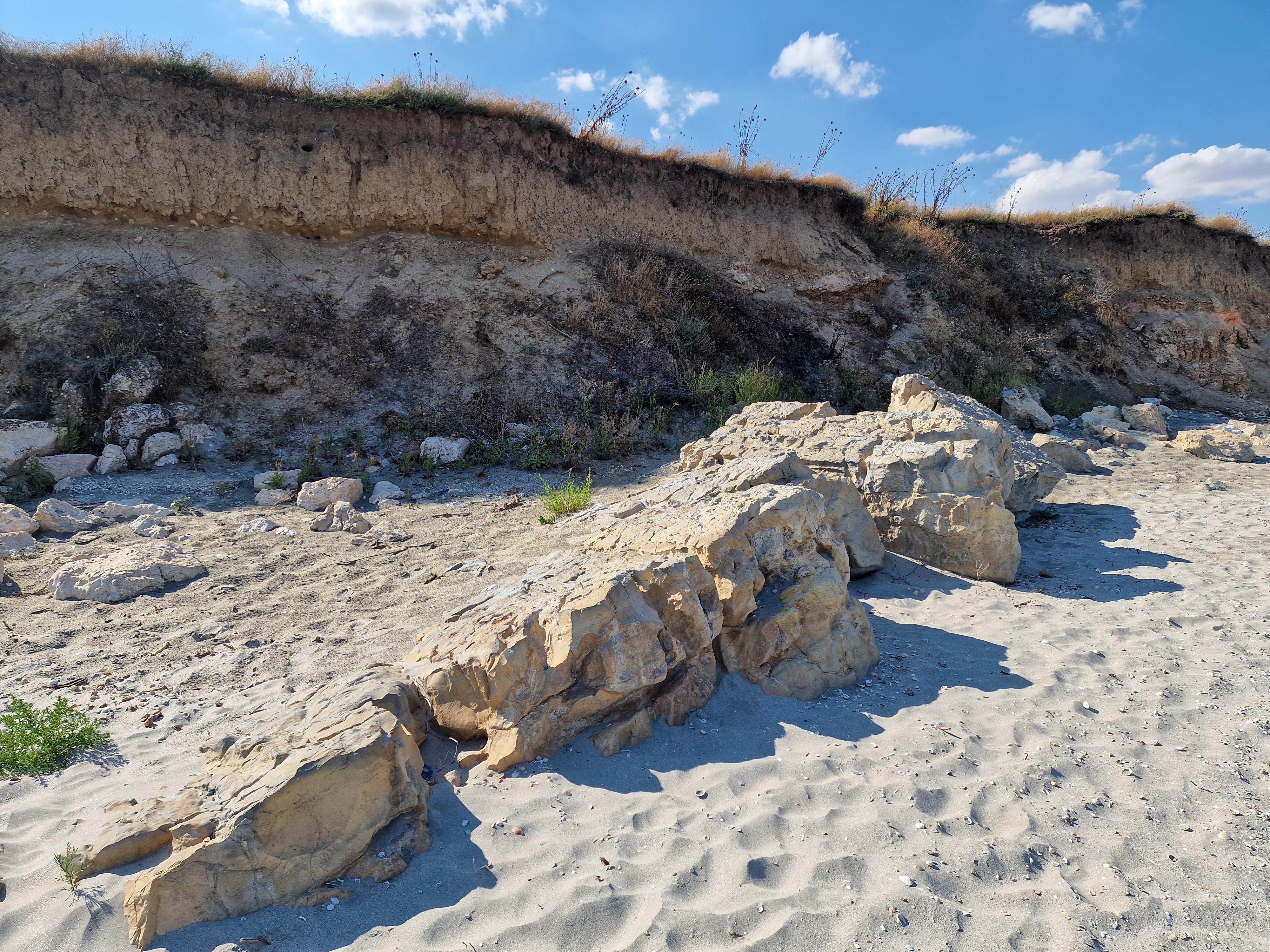 Pristine Coastline